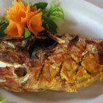 Cá bò da - loài cá được chế biến thành nhiều món ăn hấp dẫn